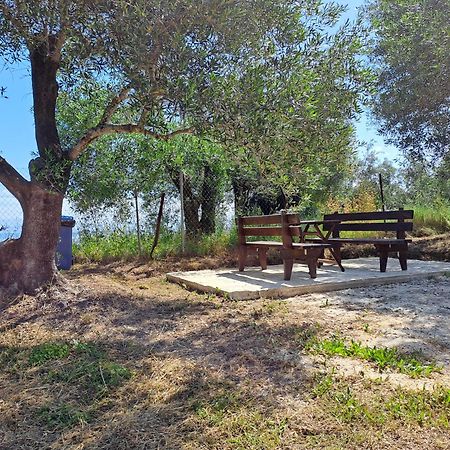 Διαμερίσματα Ευριδίκη Μεσογγή Εξωτερικό φωτογραφία