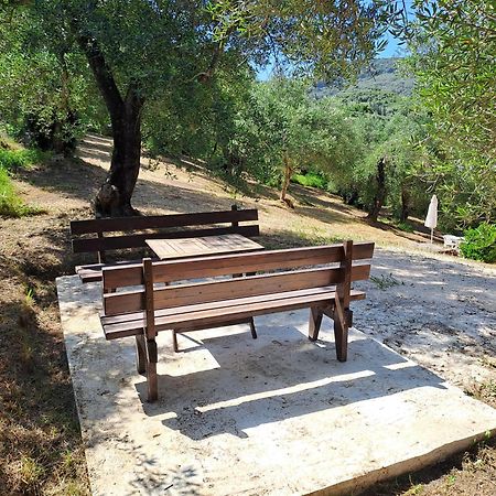 Διαμερίσματα Ευριδίκη Μεσογγή Εξωτερικό φωτογραφία