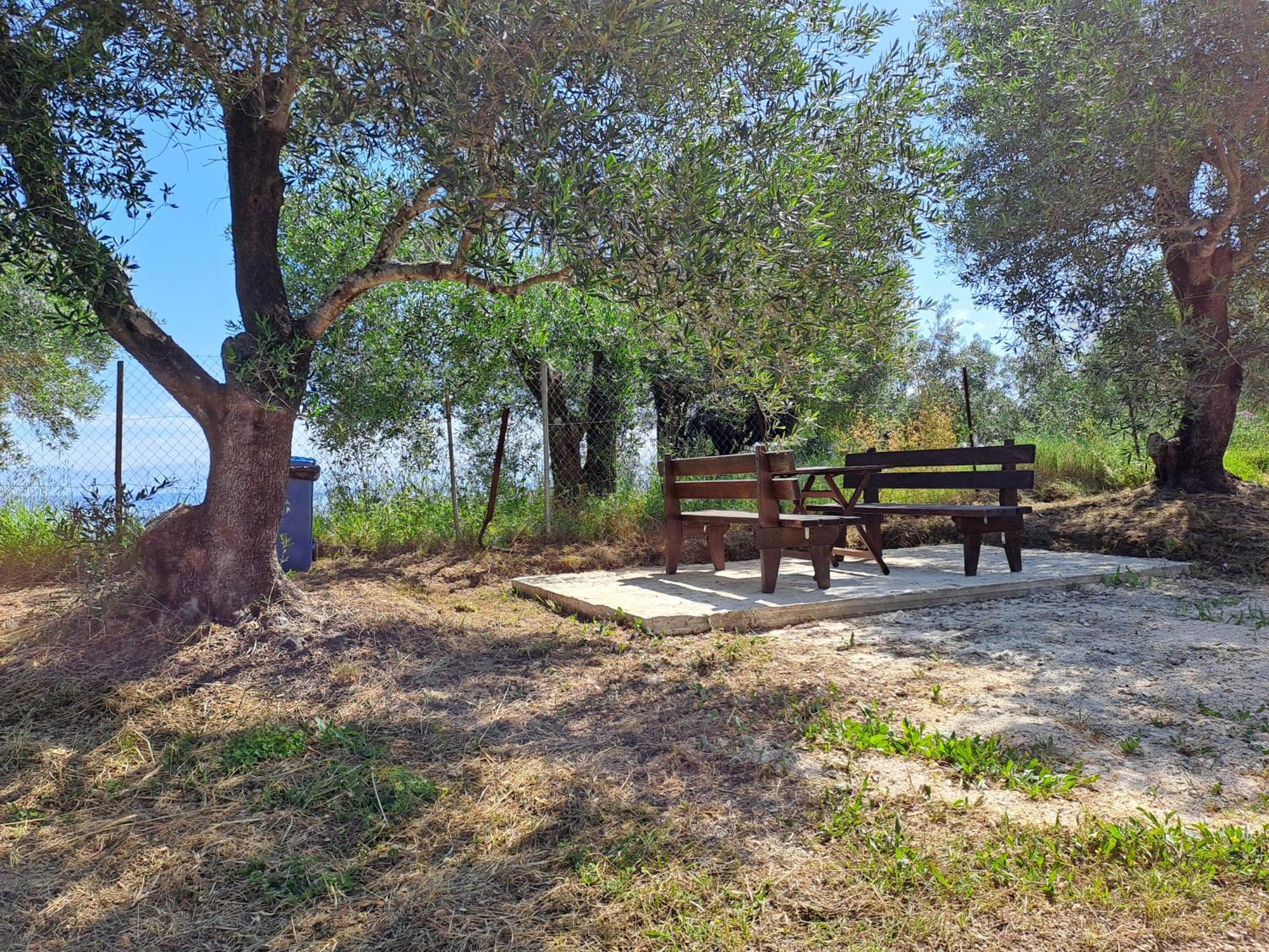 Διαμερίσματα Ευριδίκη Μεσογγή Εξωτερικό φωτογραφία