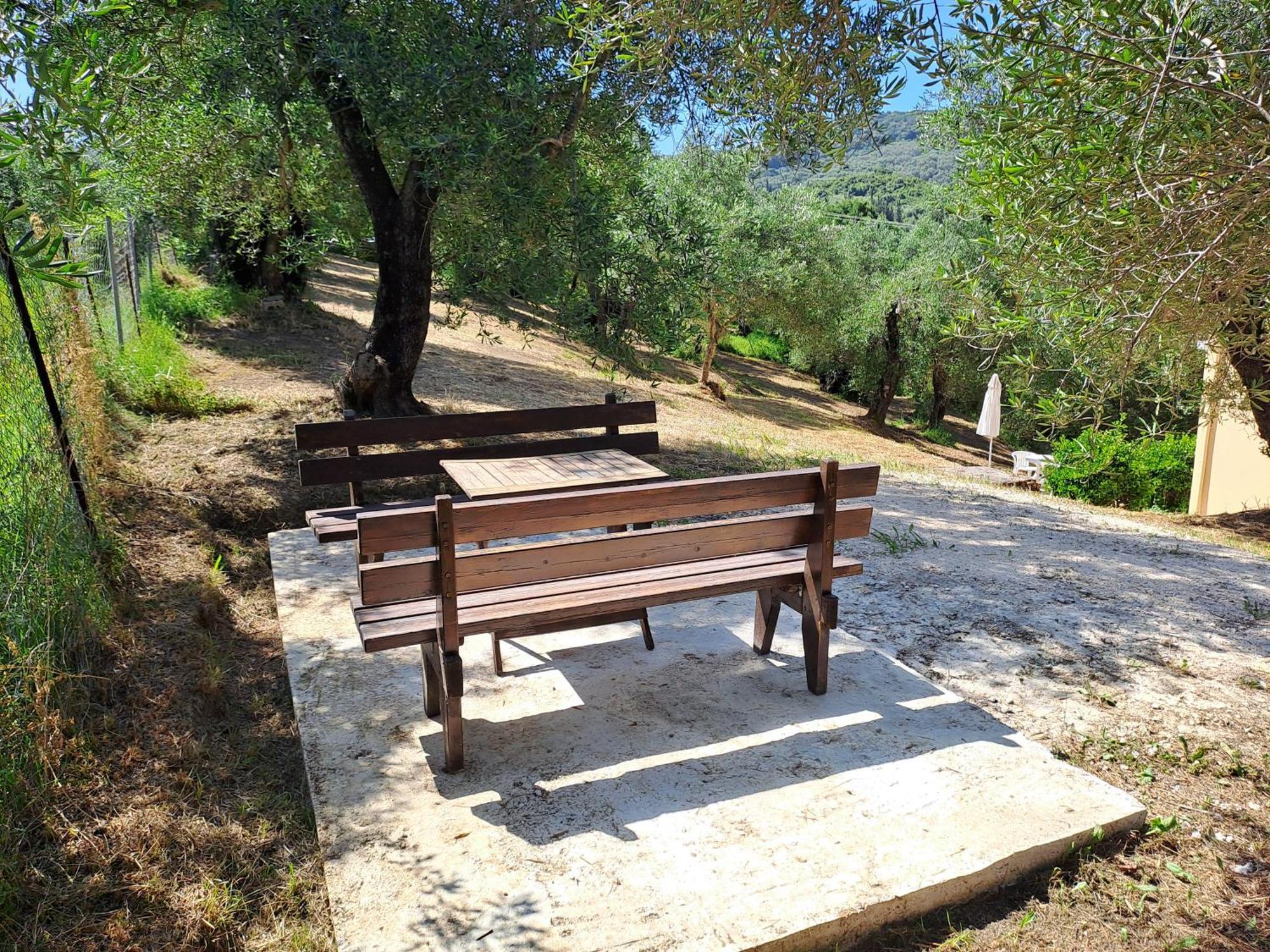 Διαμερίσματα Ευριδίκη Μεσογγή Εξωτερικό φωτογραφία
