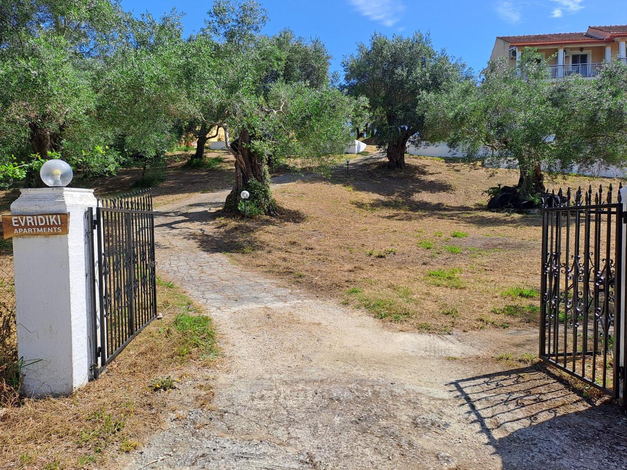 Διαμερίσματα Ευριδίκη Μεσογγή Εξωτερικό φωτογραφία