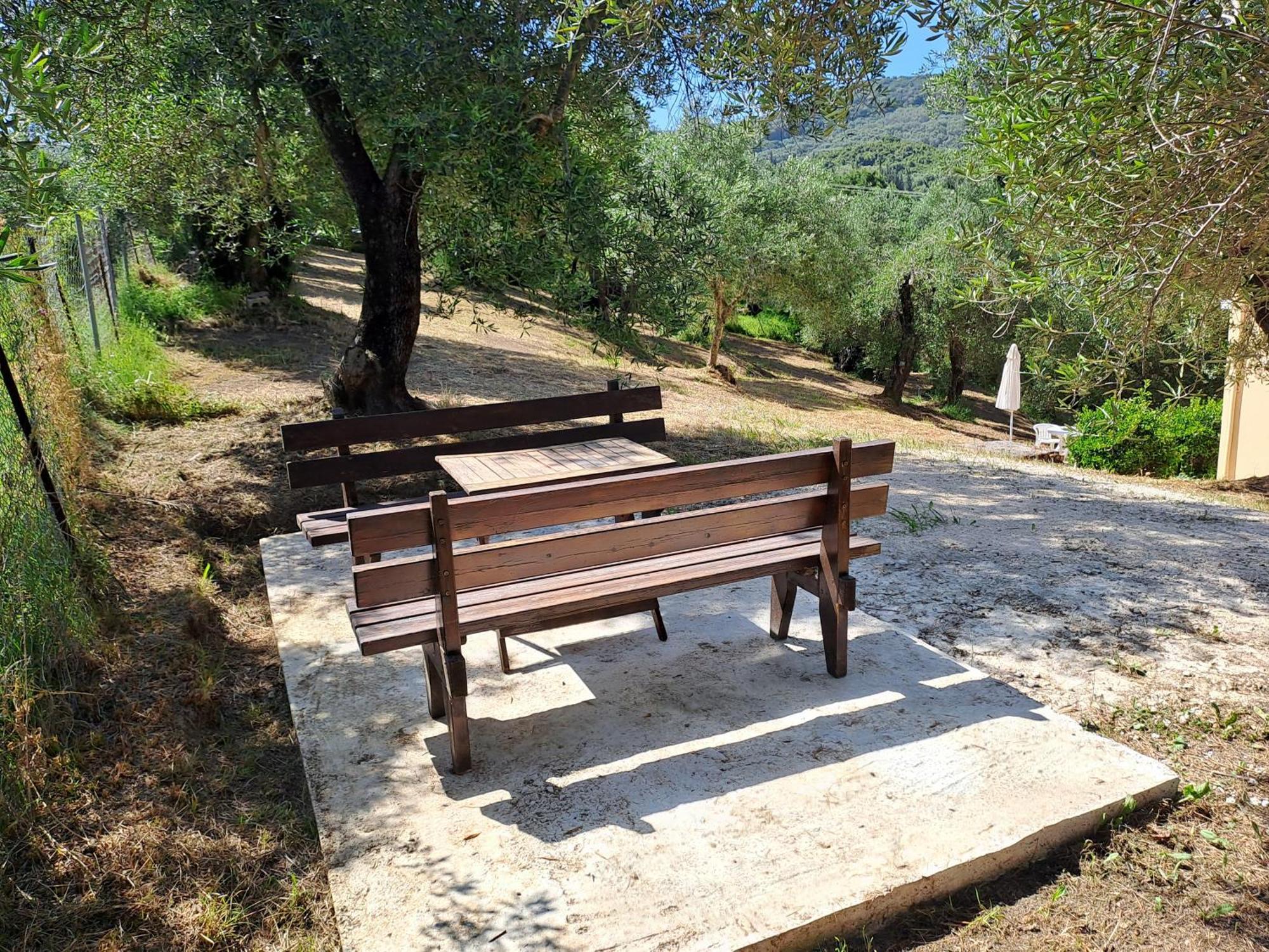 Διαμερίσματα Ευριδίκη Μεσογγή Εξωτερικό φωτογραφία