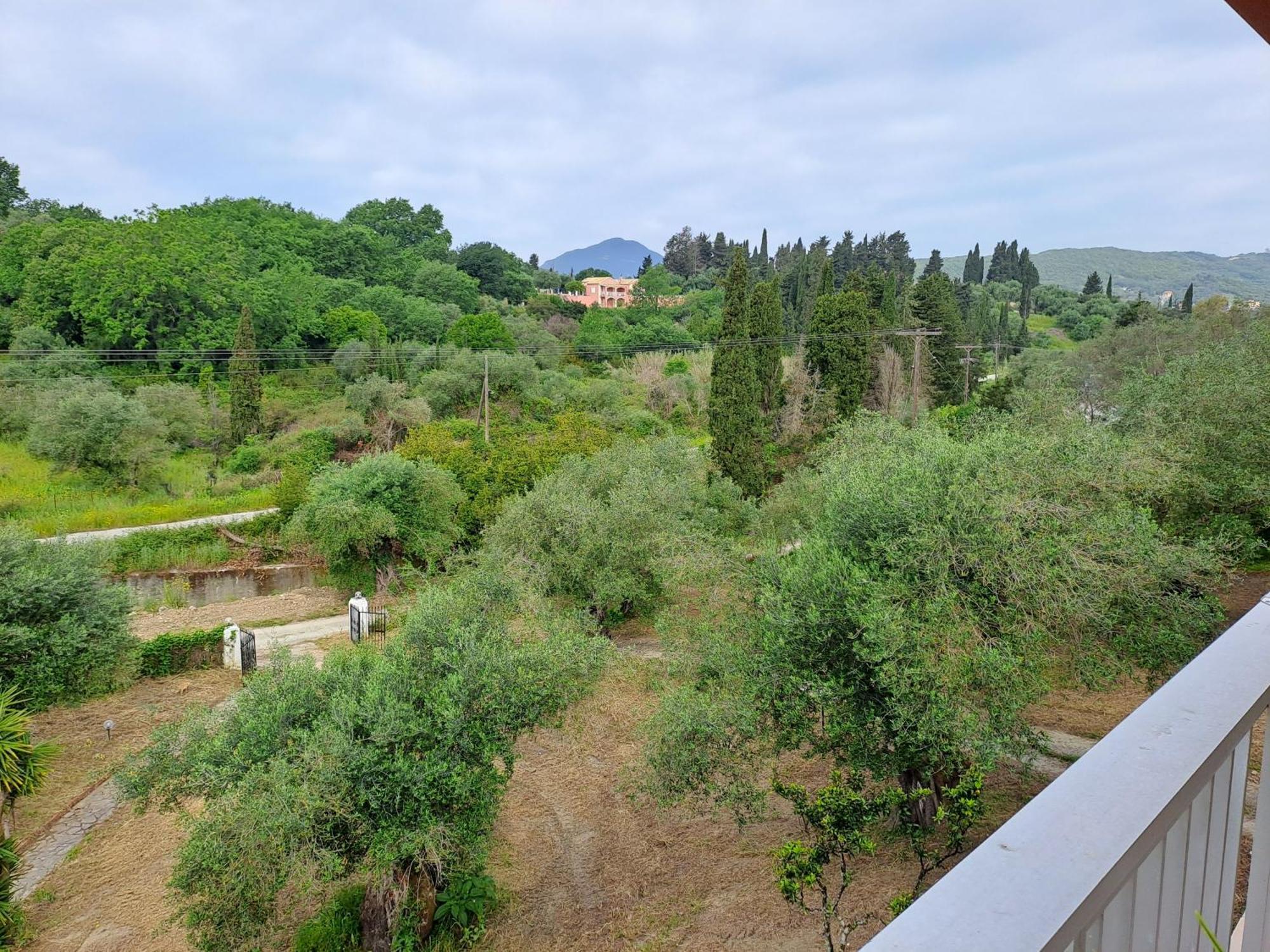 Διαμερίσματα Ευριδίκη Μεσογγή Εξωτερικό φωτογραφία